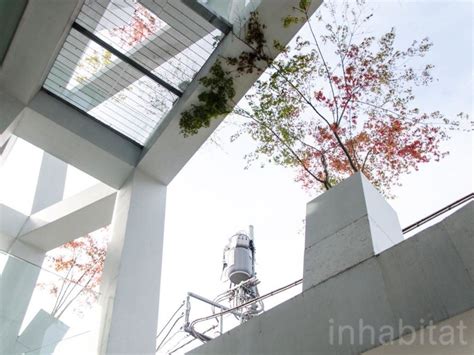 Sou Fujimoto’s latest masterpiece in Japan spreads its branches .